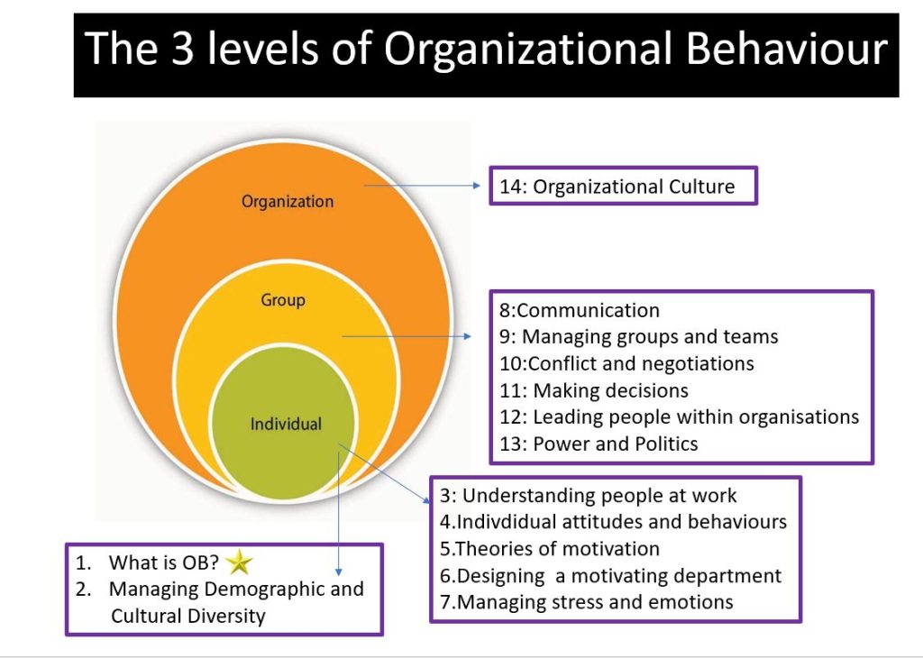 The three components of Organisational Behaviour